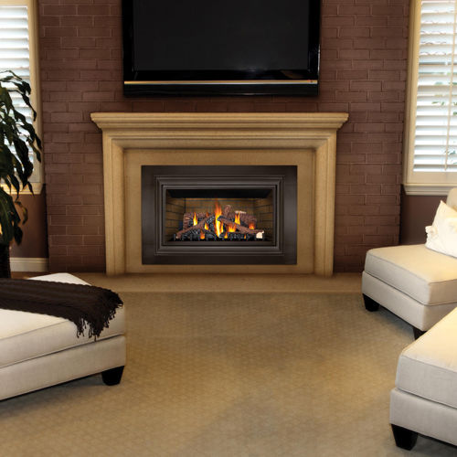Gaskamineinsatz - GDIZC - Napoleon Fireplaces