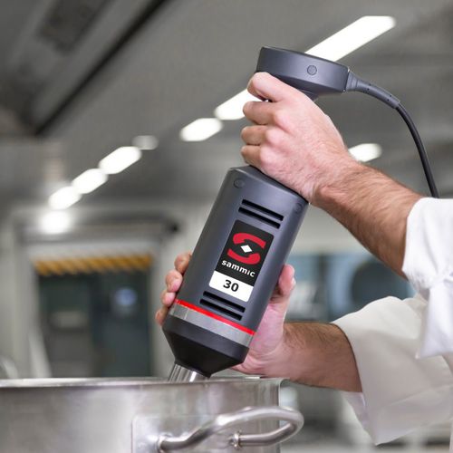 Tauchmixer - XM-31  - Sammic - Profi