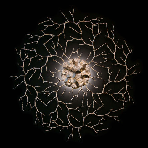 Klassische Wandleuchte - ZOA EYE L - Serip - für den Innenraum / Metall / Glas