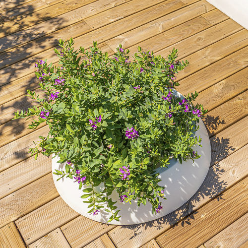 HDPE-Pflanzkübel - SUN : 802 - SIT Urban Design - rund / modern / für öffentliche Bereiche