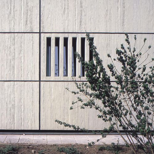 Schalungsform für Wand - OFFENBURG - NOE PLAST - Holzoptik / für Sichtbeton / für Beton