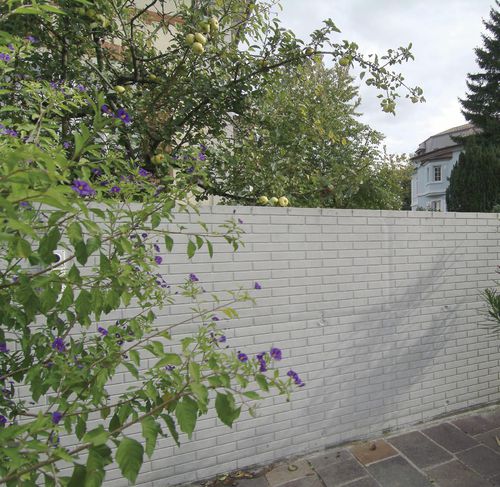 Schalungsform für Grundstücksmauer - BERLIN - NOE PLAST - Ziegeloptik / für Sichtbeton / für Beton