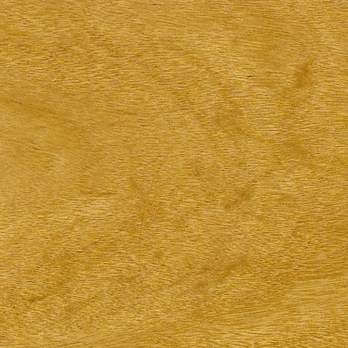 Massivparkett - PAU CETIM - A. Barbosa - Laubholz / Massivholz / satiniert
