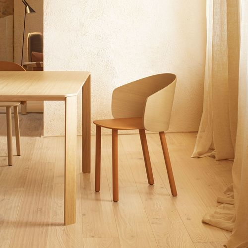 Moderner Stuhl - NOT  - True Design srl - für den Innenraum / Holz / Eiche