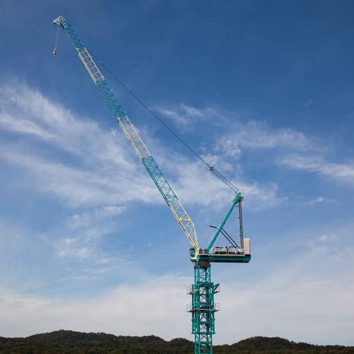 Spitzenausleger-Kran - ED325L-18 - Everdigm Corp - festinstalliert / für Hubanwendungen / für Baustellen