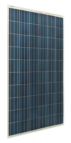 Polykristallines Photovoltaik-Modul - TERMSER SERIES - sps istem - transparent / mit Prismaglas / Doppelglas
