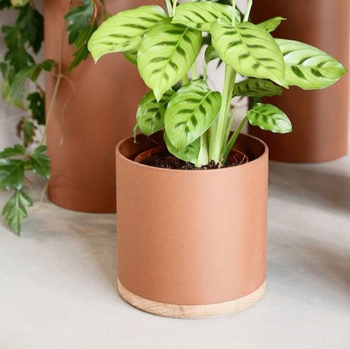 Aluminium-Pflanzgefäß - Plant Collectors - VIJ5 - Eiche / freistehend / rund