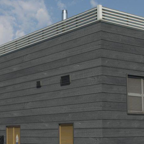 Schalungsform für Fassaden - 0301 - WOODLINE - Plasmacem - Holzoptik / für Sichtbeton