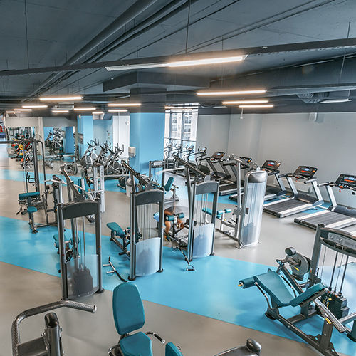 Sportboden für den Innenraum - OMNISPORTS COMPACT - Tarkett Sports Indoor - Vinyl / für Leichtathletik / für sportliche Aktivität