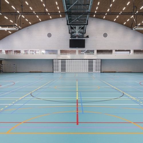 Sportboden für den Innenraum - LUMAFLEX EVOLUTION LINOSPORT XF²  - Tarkett Sports Indoor - Linoleum / für Schulen / für sportliche Aktivität