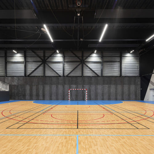 Sportboden für den Innenraum - OMNISPORTS ACTIVE+  - Tarkett Sports Indoor - Vinyl / für Schulen / für Leichtathletik