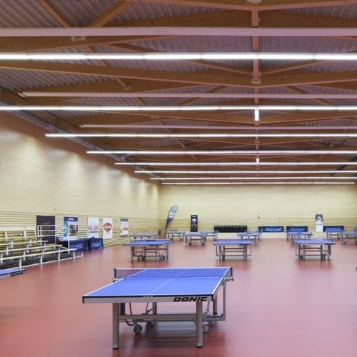 Sportboden für den Innenraum - OMNISPORTS   - Tarkett Sports Indoor - Vinyl / für Schulen / für sportliche Aktivität