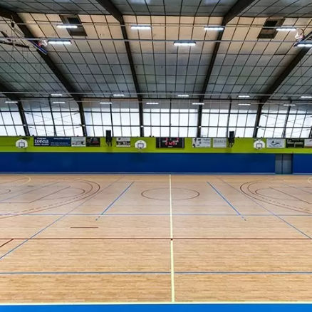 Sportboden für den Innenraum - LUMAFLEX ENERGY OMNISPORTS REFERENCE MULTI-USE - Tarkett Sports Indoor - Holz / Vinyl / für Mehrzweck-Sporthallen