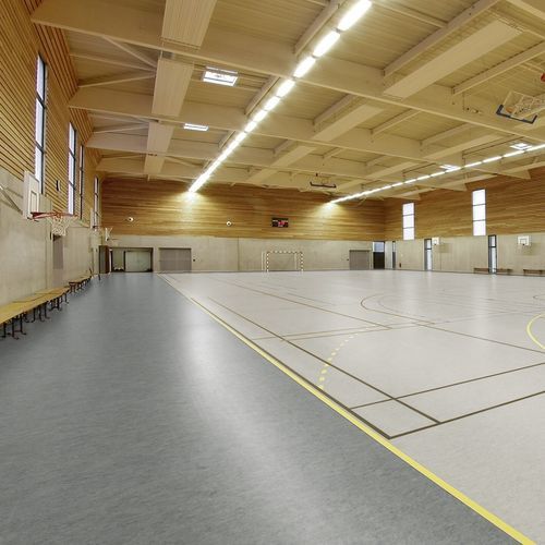Sportboden für den Innenraum - LUMAFLEX EVOLUTION E LINOSPORT XF&sup2; - Tarkett Sports Indoor - Birke / Polyethylen / Polyurethan