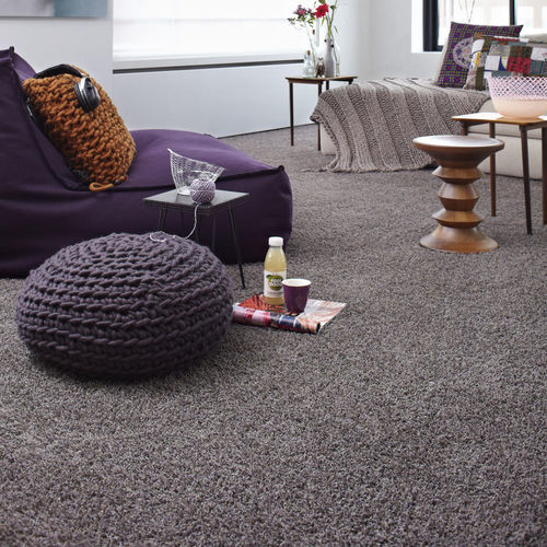 Tuft-Teppichboden - BONAPARTE CHINCHILLA - Tarkett RESIDENTIAL - Synthetik / Rollen