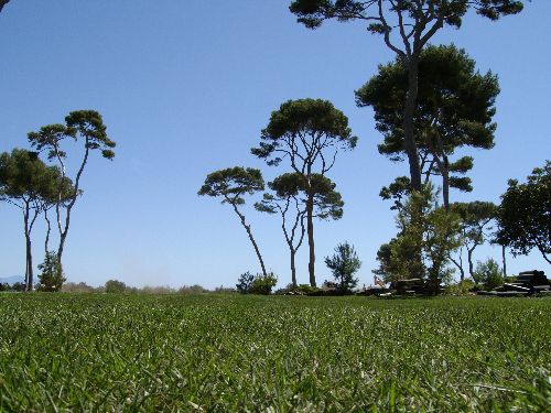 Naturrasen - PARK COMPOMED   - COVERGARDEN - Rollen