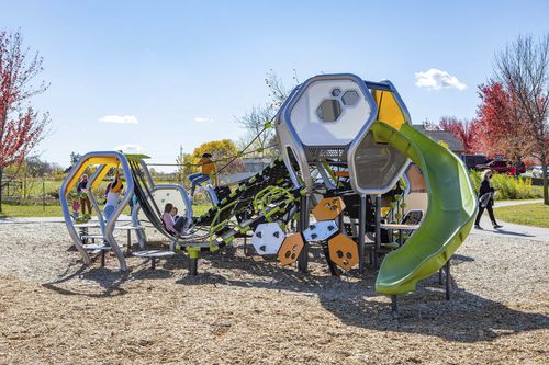 Holzfurnier-Spielplatzgerät - Hedra® EN - Design 6289 - LANDSCAPE STRUCTURES - Aluminium / galvanisiertem Stahl / pulverbeschichteter Stahl