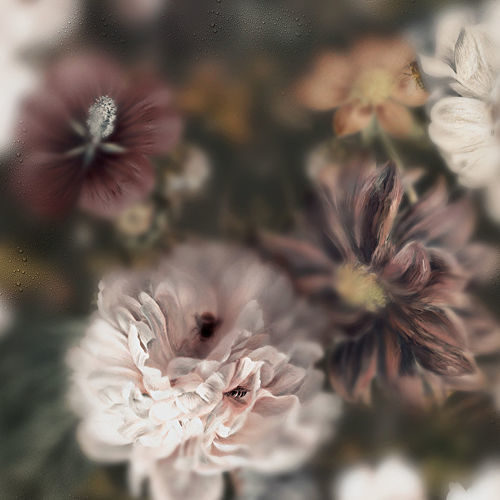 Moderne Tapete - BLOSSOM DARK - Devon&Devon - Blumenmotiv / Stoffoptik / mehrfarbig
