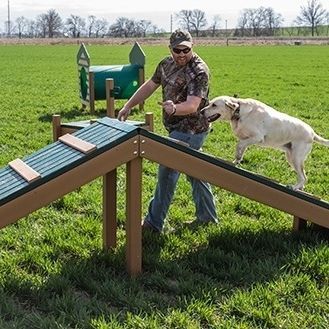 Trimm-Dich-Pfad / für Hunde - HILLTOP CHALLENGE - progressive design playgrounds - Laufbrücke / für Außenbereich