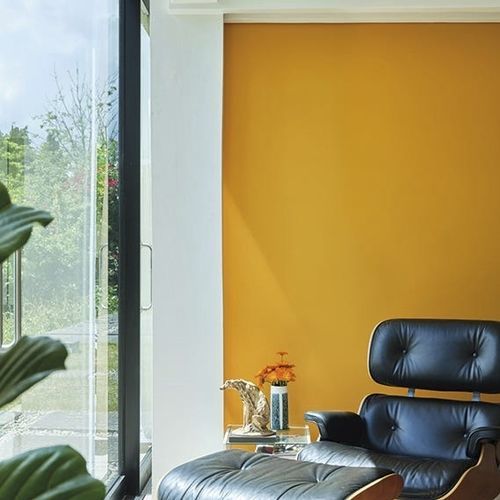 Dekorfarbe - DUTCH - Farrow & Ball - Endbearbeitung / Außen / für Wohnzimmer