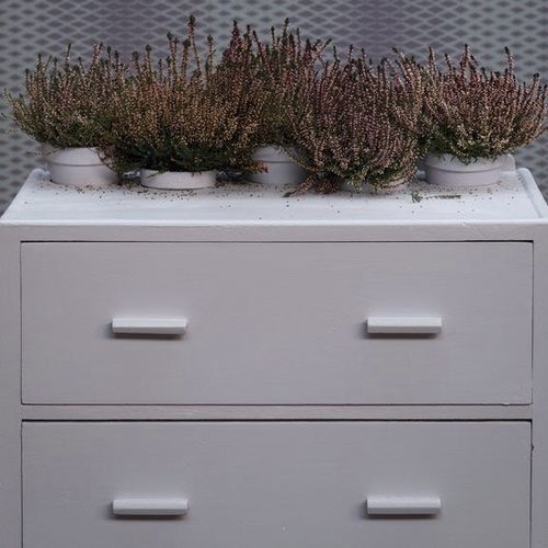 Dekorfarbe - CALLUNA - Farrow & Ball - Endbearbeitung / Außen / für Badezimmer