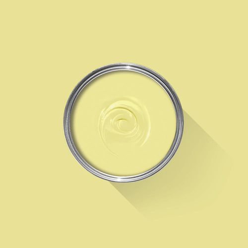 Dekorfarbe - BUTTERWEED - Farrow & Ball - Endbearbeitung / Innenbereich / Außen