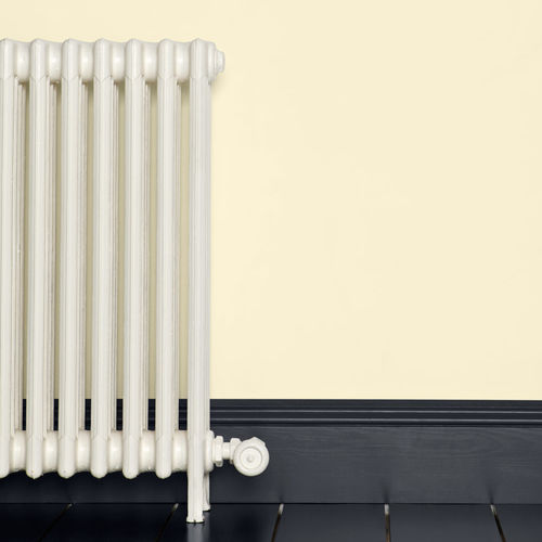 Dekorfarbe - TALLOW - Farrow & Ball - Endbearbeitung / für Küche / für Eingang