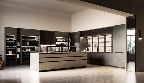 Moderne Küche - Aspen + D23 - DOIMO CUCINE - Ulme / Glas / Edelstahl