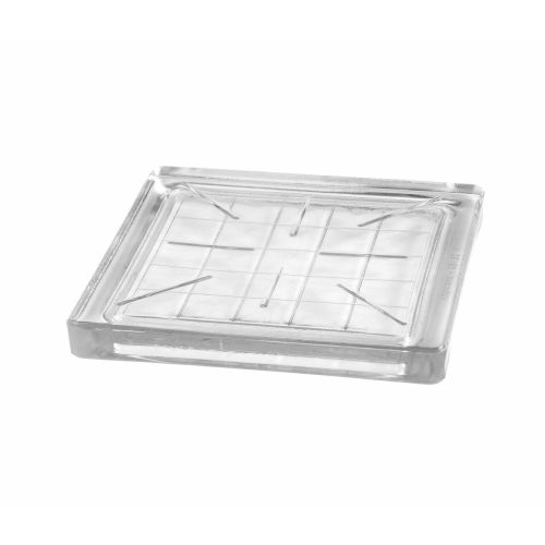 Glas-Pflasterstein - B 2020/2 PRISMA  - SEVES GLASSBLOCK - für Außenbereich / für den Innenraum / transparent