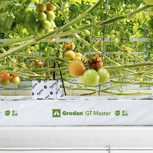Pflanzsack - GT MASTER - GRODAN