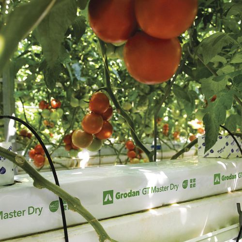 Pflanzsack - MASTER DRY - GRODAN