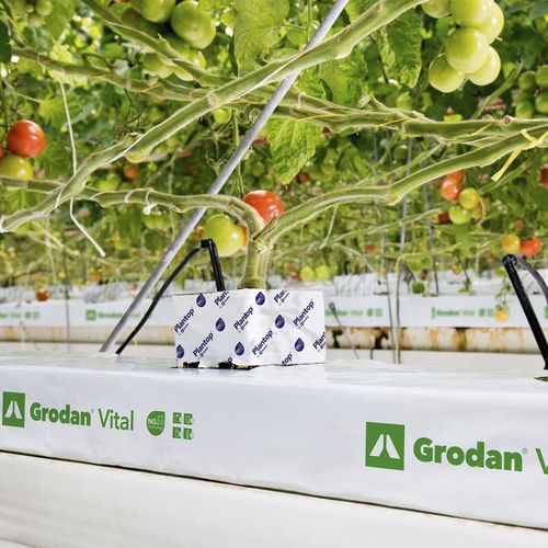 Pflanzsack - VITAL - GRODAN