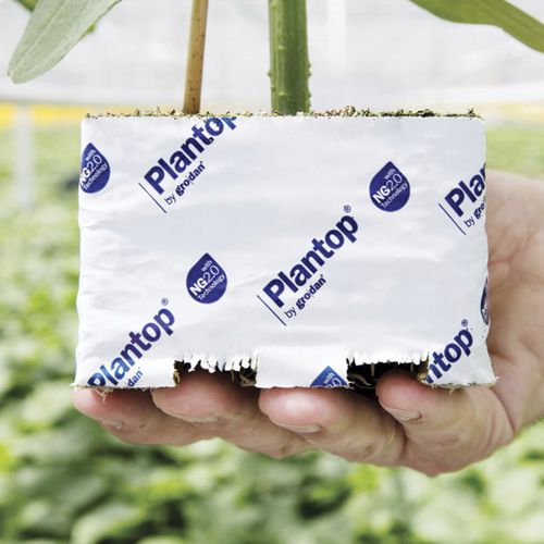 Pflanzsack - PLANTOP - GRODAN
