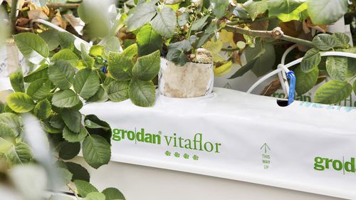Pflanzsack - VITAFLOR - GRODAN