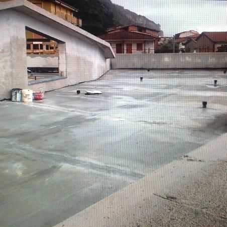 Dichtungsmörtel - BETONSHIELD - Polyglass Spa - Schutz / für Beton / für Zement