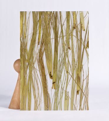 Dekorplatte für Innenausbau - THAI GREEN - Designpanel - Polyester / glatt / organisch
