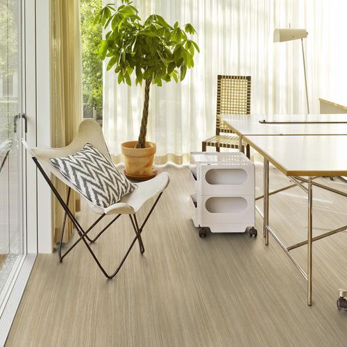 Vinyl-Bodenbelag - STANDARD PLUS - Tarkett PROFESSIONAL - für den Innenraum / für Büro / Industrie