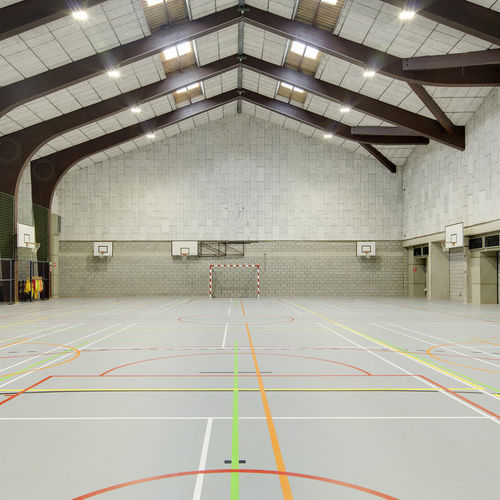 Sportboden für den Innenraum - LUMAFLEX EVOLUTION OMNISPORTS COMPACT - Tarkett PROFESSIONAL - Vinyl / für professionellen Einsatz / dauerhaft