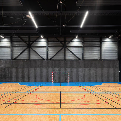 Sportboden für den Innenraum - OMNISPORTS ACTIVE + - Tarkett PROFESSIONAL - Vinyl / für professionellen Einsatz / Akustik