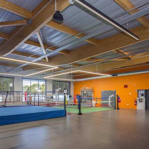 Sportboden für den Innenraum - OMNISPORTS TRAINING - Tarkett PROFESSIONAL - Vinyl / für Freizeit / dauerhaft