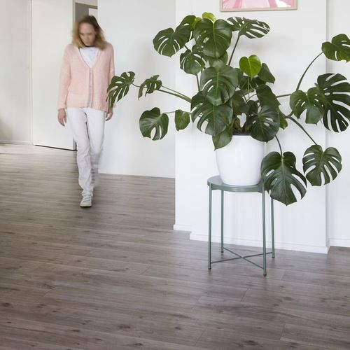 HDF-Laminatboden - IMPULSE V4 - BERRYALLOC - verklebt / Holzoptik / für Privatgebrauch