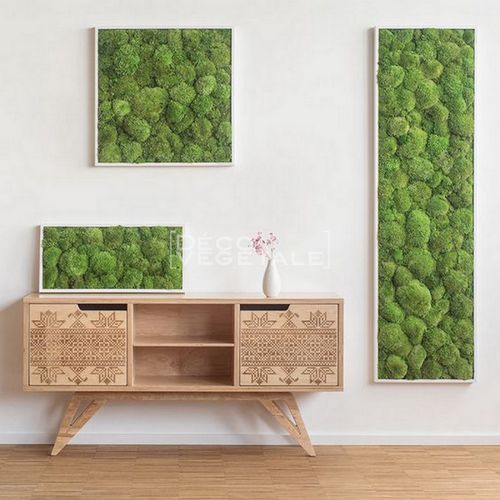 Stabilisierter Pflanzrahmen - GREEN STAR - deco-vegetale - dichtes Blattwerk / Polster Moos / für den Innenraum