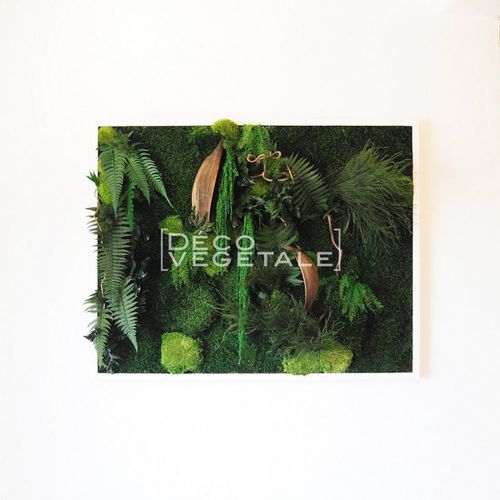 Stabilisierter Pflanzrahmen - GARDENERS BAY - deco-vegetale - natürlich / dichtes Blattwerk / für den Innenraum