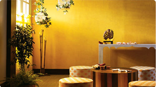 Dekorfarbe - KORA GRASS - ASIAN PAINTS - Innenbereich / für Wand / mit Effekten