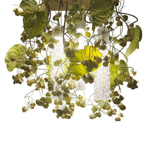 Kronleuchter / originelles Design - PHYSALIS ANTHURIUM - VGnewtrend - aus lackiertem Stahl / Muranoglas / 6 Glühbirnen
