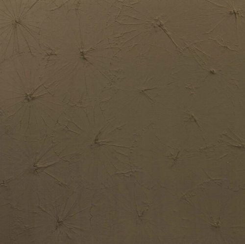 Dekorplatte für Innenausbau - FL LOTUS VELVET MOCHA - SIBU DESIGN - wandmontiert / Polystyrol / PET