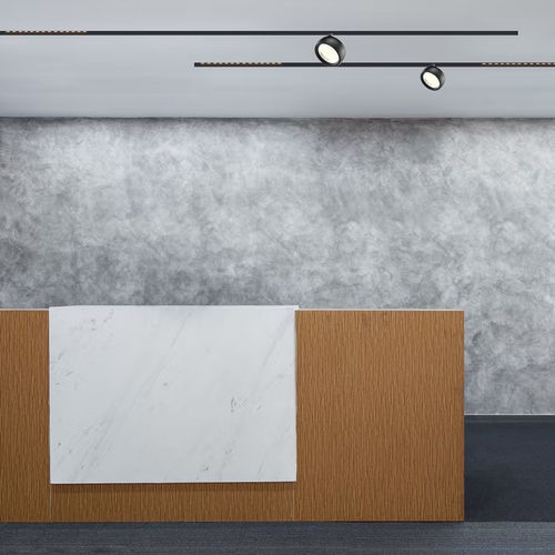 LED-Schienenleuchte - 48  EYE - Nexia - rund / Aluminium / für Gewerbegebrauch