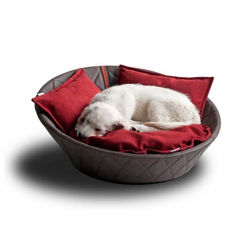 Leder-Hundekorb - CHESTER - pet.interiors - Baumwolle / Samt / Edelstahl