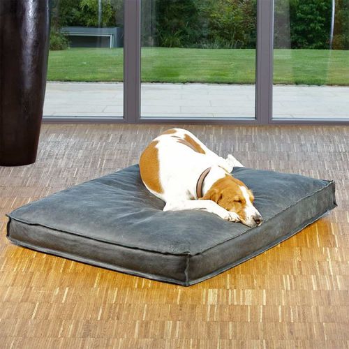Kissen für Haustiere (Hund und Katze) - BUFFALO - pet.interiors - quadratisch / rechteckig / einfarbig
