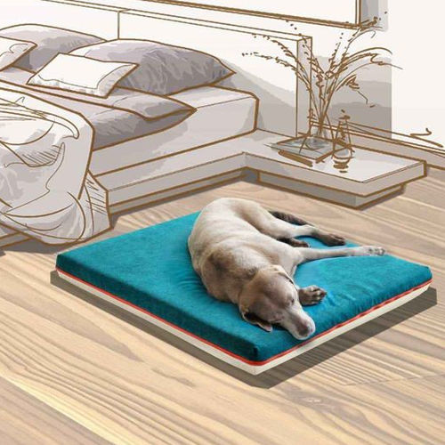 Kissen für Haustiere (Hund und Katze) - PAUL  - pet.interiors - rechteckig / einfarbig / für Privatgebrauch
